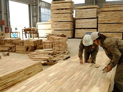Nhiều Kl991.com World Cup 2026 Chính Thức gỗ dán cứng của Việt Nam có nguy cơ bị áp thuế cao khi xuất khẩu sang Mỹ.