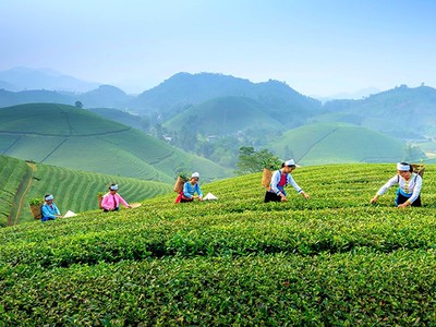 Chương trình OCOP được các địa phương triển khai đồng bộ, rộng khắp, trở thành một giải pháp được ưu tiên trong phát triển Kl992 cổng game cá cược nông thôn. (Ảnh: Phương Linh)