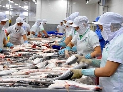 Mỹ nhận hồ sơ đề nghị rà soát hành chính thuế chống bán phá giá đối với cá tra-basa, ống đồng, tháp gió của Việt Nam.