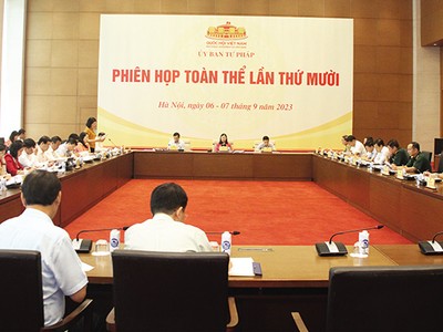 Phiên họp toàn thể của Ủy ban Tư pháp của Quốc hội