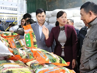 Xây dựng nông thôn mới Ứng Hòa: Nâng cao chất lượng, khởi sắc vùng quê 