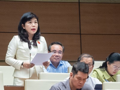 Đại biểu Nguyễn Thị Thu Hà, đoàn Quảng Ninh phát biểu tại Hội trường sáng 2/11