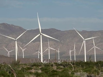 Các tua-bin sản sinh điện gió hoạt động tại California, Mỹ. Ảnh: Reuters/TTXVN