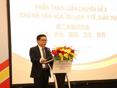 Giám đốc Sở Văn hóa và Thể thao Hà Nội Đỗ Đình Hồng phát biểu tại phiên thảo luận. 