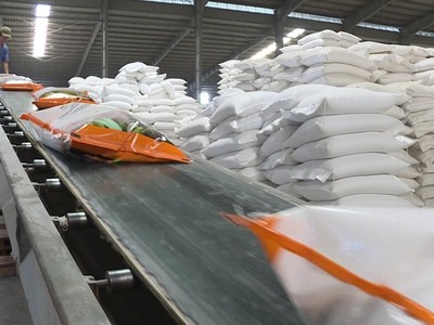 Doanh thu xuất khẩu gạo đang tiến gần mức 5 tỷ USD nhờ thuận lợi về thị trường và giá xuất khẩu tăng cao.