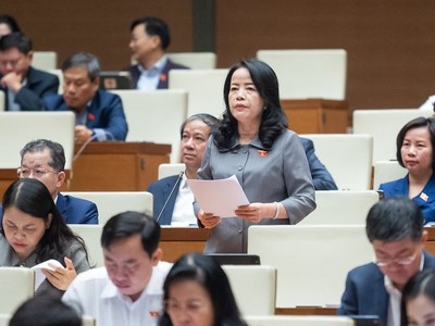 Đại biểu Nguyễn Thị Kim Thúy (Đà Nẵng) phát biểu tại hội trường.