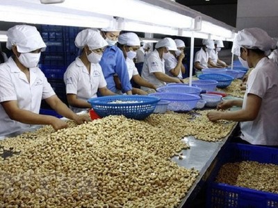 Lừa đảo trong thương mại quốc tế ngày càng tinh vi.
