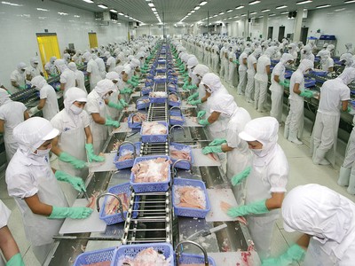 Giá trị xuất khẩu cá tra sang Mỹ của Vĩnh Hoàn giảm liên tục 10 tháng qua 