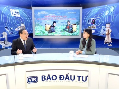 Phát triển dược liệu giúp vùng dân tộc thiểu số thoát nghèo bền vững