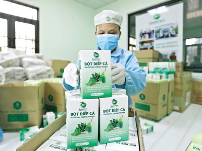 Đã xuất hiện “làn sóng ngược” của những người trẻ quyết tâm trở về quê hương khởi nghiệp nông nghiệp dựa trên những lợi thế sẵn có