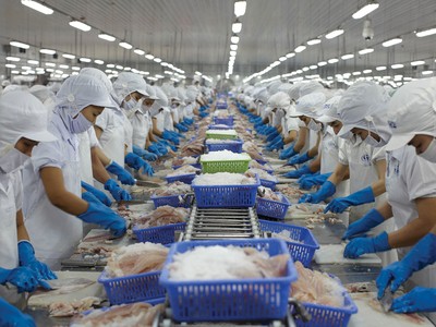 Quý IV/2023, VHC báo lãi giảm tới 66,5% so với cùng kỳ năm 2022