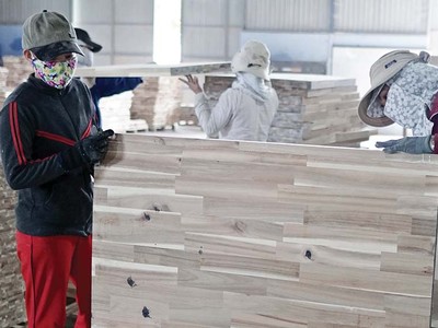 Ngành gỗ xuất khẩu đang gặp khó về đầu ra, đồng thời đối mặt với một số vấn đề liên quan Kl994 nhà cái bóng đá world cup bền vững Ảnh: Đ.T
