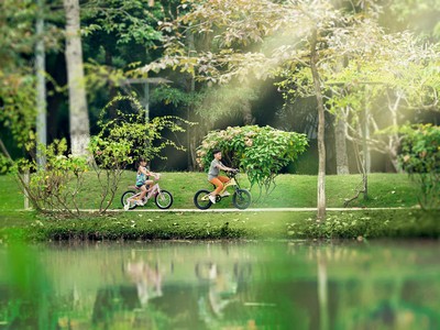 Những tia nắng xuân đã bắt đầu xuất hiện, báo hiệu một chu kỳ mới cho thị trường địa ốc sau giai đoạn ngủ đông