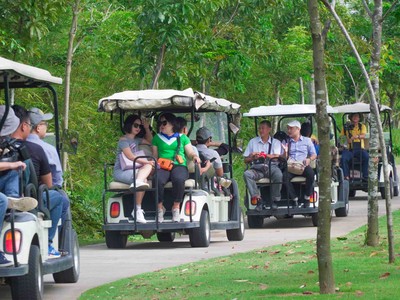 Xe điện sẽ được công ty Saigon Public Transport triển khai từ ngày 1/3/2024.