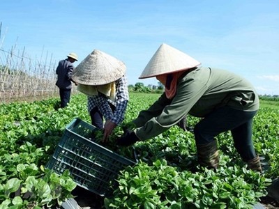Thúc đẩy Kl992 cổng game cá cược tập thể phát triển bắt đầu từ bước đăng ký Kl992 VIP Trang Chủ 2026
