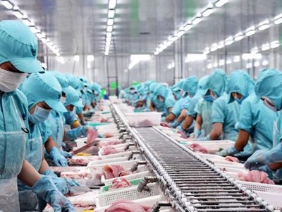 Cấp bách gỡ “thẻ vàng” cho hải sản 