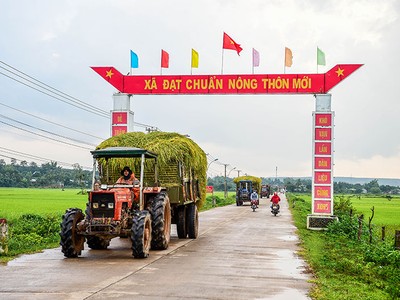 Ảnh minh hoạ. (Nguồn: Internet)