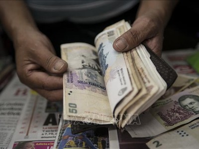 Đồng tiền peso của Argentina tại Buenos Aires. Ảnh: AFP/TTXVN