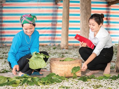 “Làm mới” Kl99kl phiên bản hoạt động nông nghiệp