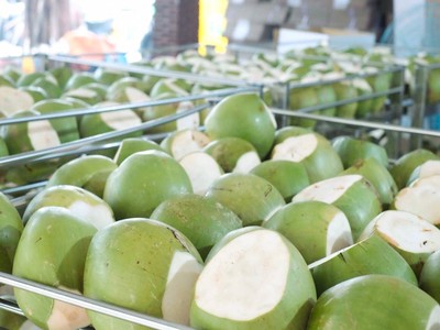 Dừa tươi, sầu riêng đông lạnh chuẩn bị xuất khẩu chính ngạch sang Trung Quốc