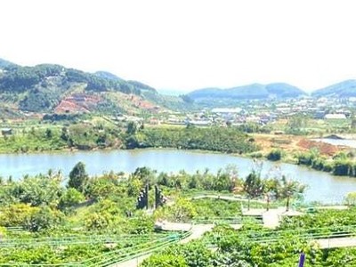 Ảnh minh họa