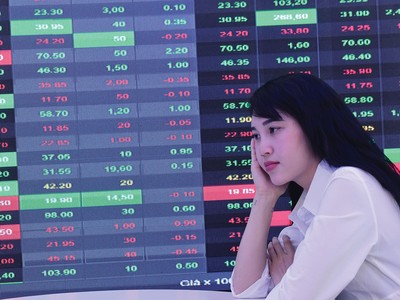Đường đi của VN-Index