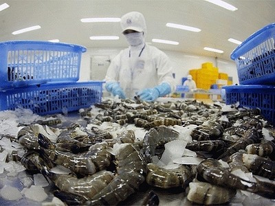 Một lượng lớn tôm xuất khẩu của Việt Nam sang Hàn Quốc đang phải chịu mức thuế cơ sở là 20%.