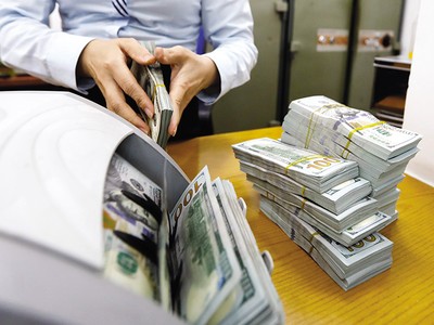 Môi trường vĩ mô trong nước ổn định cũng là một yếu tố hỗ trợ cho tỷ giá.