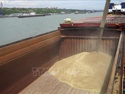 Chất lúa mì lên tàu tại cảng Rostov-on-Don, Nga. Ảnh minh họa: AFP/TTXVN