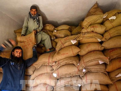 Vận chuyển gạo tại kho ở Srinagar, Ấn Độ. Ảnh: AFP/TTXVN