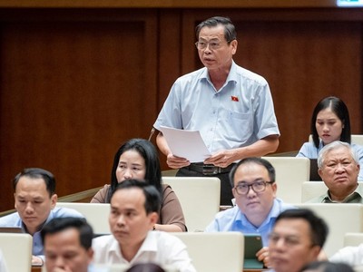 Đại biểu Trần Hữu Hậu (Tây Ninh) phát biểu tại phiên họp. 