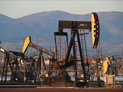 Trạm bơm dầu thô tại giếng dầu South Belridge ở hạt Kern, bang California (Mỹ). Ảnh minh họa: AFP/TTXVN
