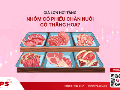 Giá lợn hơi tăng, nhóm KL99 là cổng game giải trí trực tuyến hàng đầu hiện nay chăn nuôi có thăng hoa?