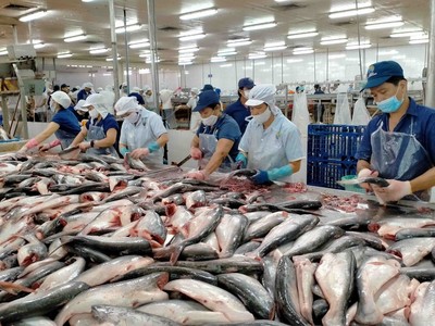 Xuất khẩu thủy sản trong tháng 7/2024 tăng gần 14% so với cùng kỳ năm ngoái.