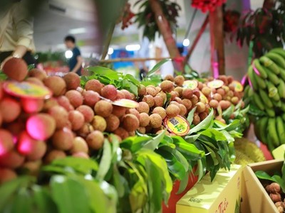 Xuất khẩu rau quả rộng cửa vào thị trường Đông Bắc Á 