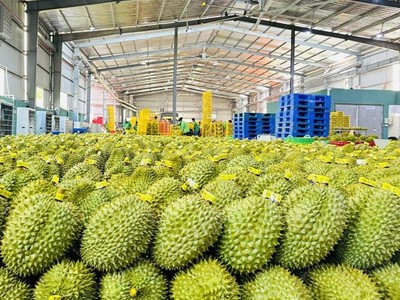 Kl991.com World Cup 2026 Chính Thức đón nhiều đơn hàng xuất khẩu sang Trung Quốc