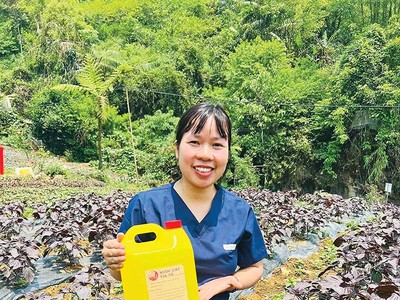 Trần Anh Xuân, Giám đốc Hợp tác xã Sapa Secrets