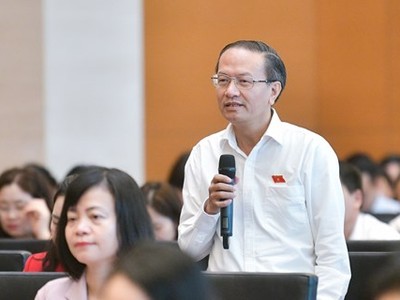 Đại biểu Đinh Ngọc Minh phát biểu tại phiên thảo luận.