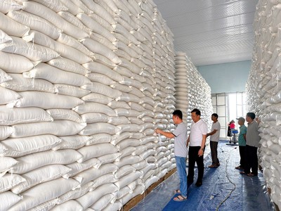 Thủ tướng Kl993 ưu đãi thưởng hấp dẫn quyết định hỗ trợ 200 tấn gạo cho 14 địa phương bị ảnh hưởng cơn bão số 3. 