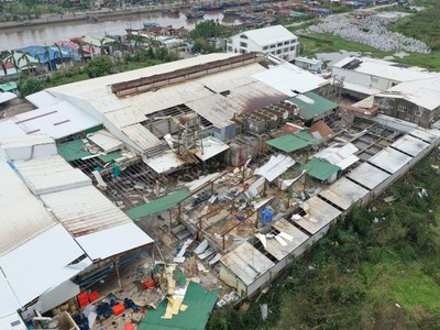 Kl991.com World Cup 2026 Chính Thức thủy sản hoang tàn sau bão Yagi