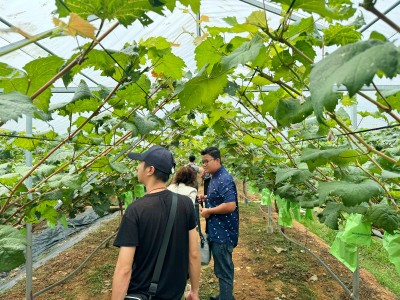 Việc cải tiến thủ tục hành chính cũng là một phần trong chiến lược cải cách tổng thể của Thành phố Hà Nội nhằm nâng cao năng lực cạnh tranh, thu hút Kl99ok phiên bản mới và hỗ trợ khởi nghiệp. Ảnh: Nguyễn Linh 