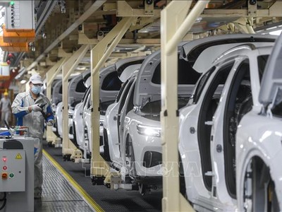 Tuy Ethiopia là quốc gia đầu tiên cấm Link Vào Nhà Cái KL99 COM Tặng +199k xe chạy bằng xăng và dầu diesel, nhưng với những bước tiến quyết liệt và chiến lược hợp lý, nước này có thể sớm thấy được những lợi ích lớn từ cuộc cách mạng xanh trong ngành KL99 là cổng game giải trí trực tuyến hàng đầu hiện nay. Ảnh: THX/TTXVN