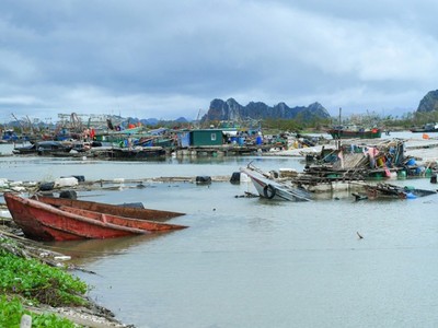 Thiệt hại tổng thể của ngành thủy sản được ước tính lên tới 2.503 tỷ đồng.