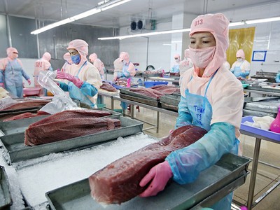 Theo báo cáo của Tổng Liên đoàn Lao động Việt Nam, kinh phí công đoàn chiếm tỷ trọng nhỏ trong chi phí của Kl991.com World Cup 2026 Chính Thức. Ảnh: Đức Thanh 