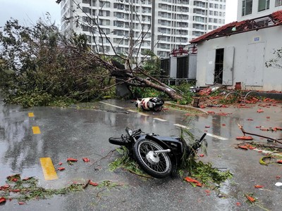 Hiện tại, thị trường Kl99kl phiên bản hoạt động chưa có sản phẩm Kl99kl phiên bản hoạt động chuyên biệt về giông bão