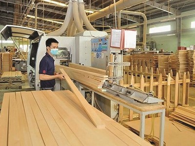 Ngành gỗ Bình Định thấp thỏm với quy định mới của EU 