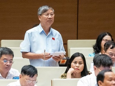 Đại biểu Nguyễn Anh Trí phát biểu tại phiên thảo luận.