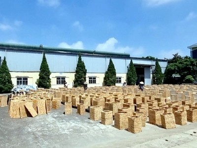 Làng nghề cỏ tế mây tre đan tại xã Phú Túc, huyện Phú Xuyên.