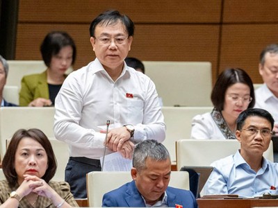 Đại biểu Nguyễn Công Long phát biểu tại hội trường. 