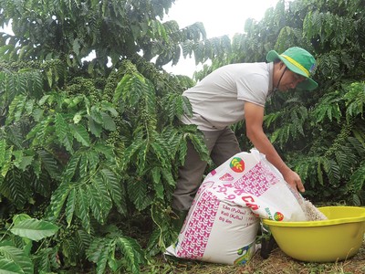 Năm 2014, việc đưa phân bón ra khỏi danh mục chịu thuế giá trị gia tăng tưởng có lợi mà lại trở nên bất cập